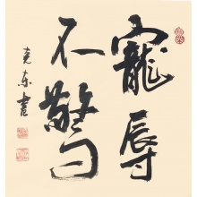 宠辱不惊