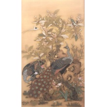 《枇杷孔雀图》徐小明
