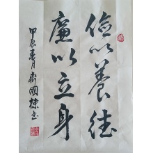 行书书法《俭以养德》-齐国栋